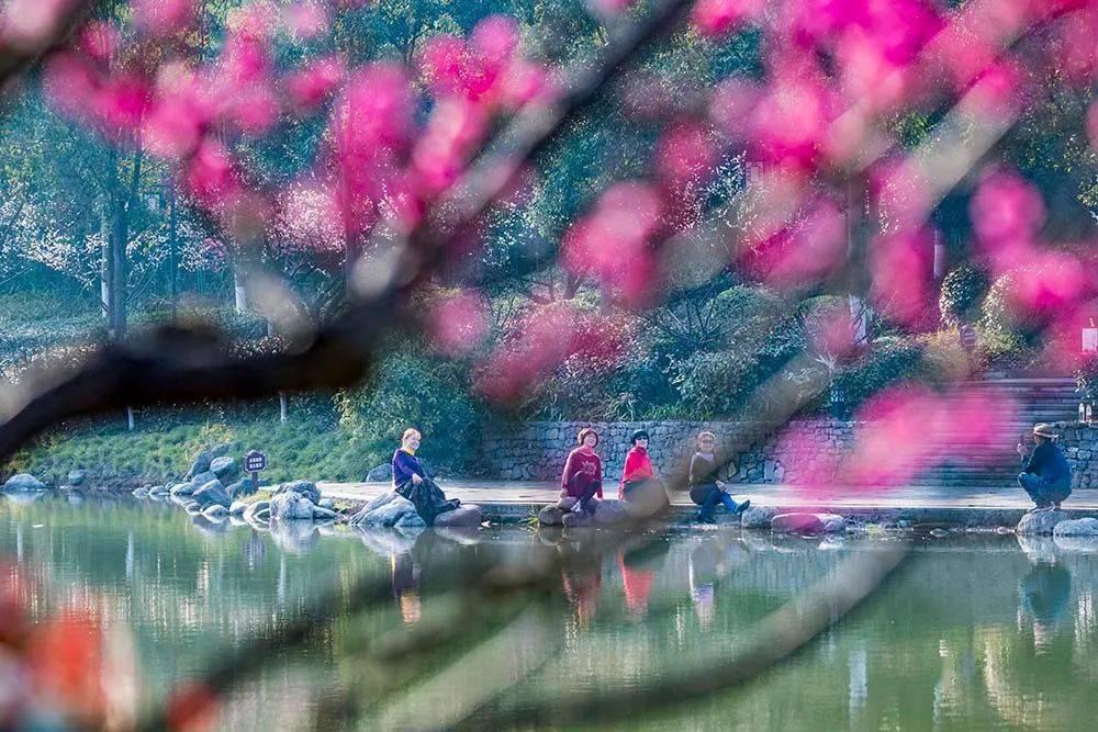 石嘴山市发布通告：春节特定时段可有序燃放烟花爆竹！